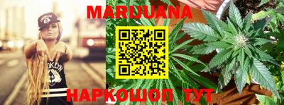 шишки Кимры